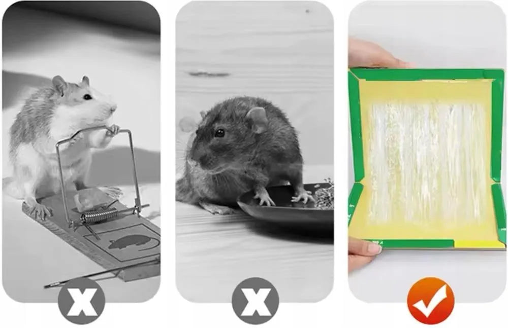 Reusable Mouse & Rat Glue Traps – Sticky Pest Control Boards