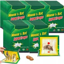 Reusable Mouse & Rat Glue Traps – Sticky Pest Control Boards